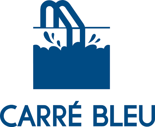 carre bleu Logo PNG Vector Gratis