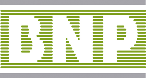 Descargar Logo Vectorizado banque nationale de paris Gratis